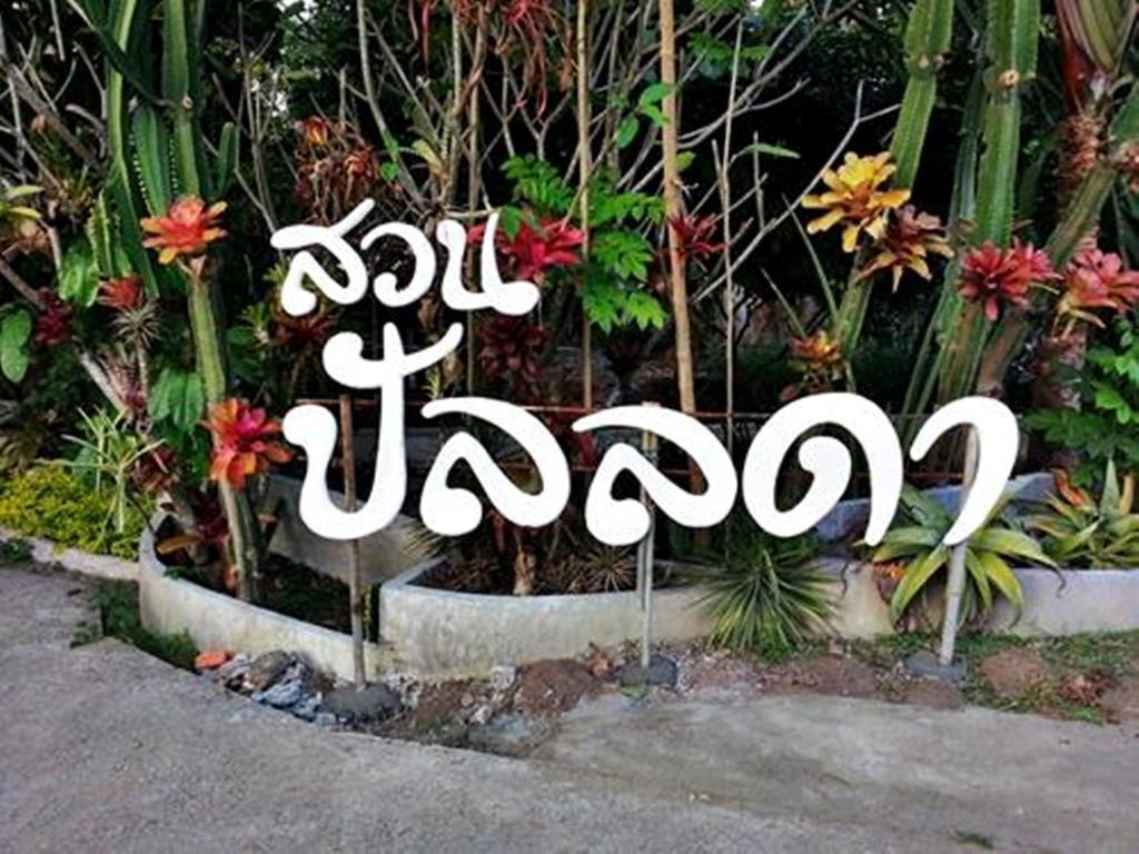 Pallada Bromeliads Garden And Farm stay
