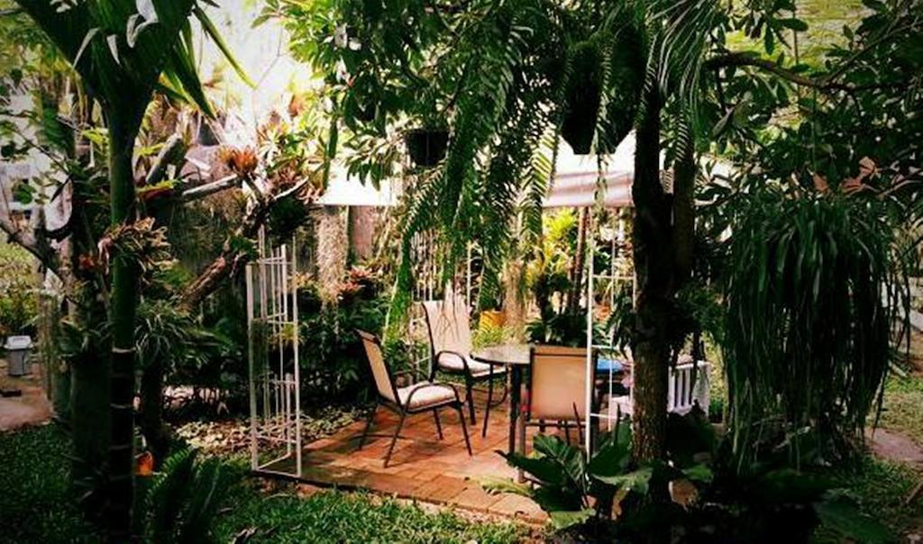 Pallada Bromeliads Garden And * Mae Rim