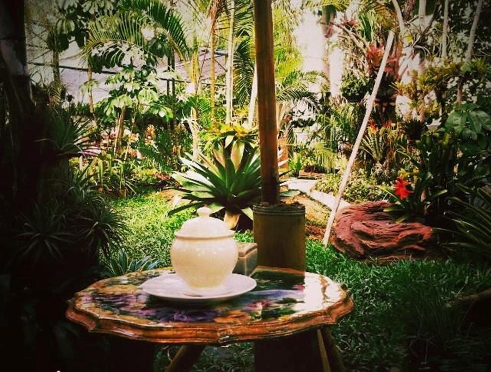 Pallada Bromeliads Garden And Farm stay