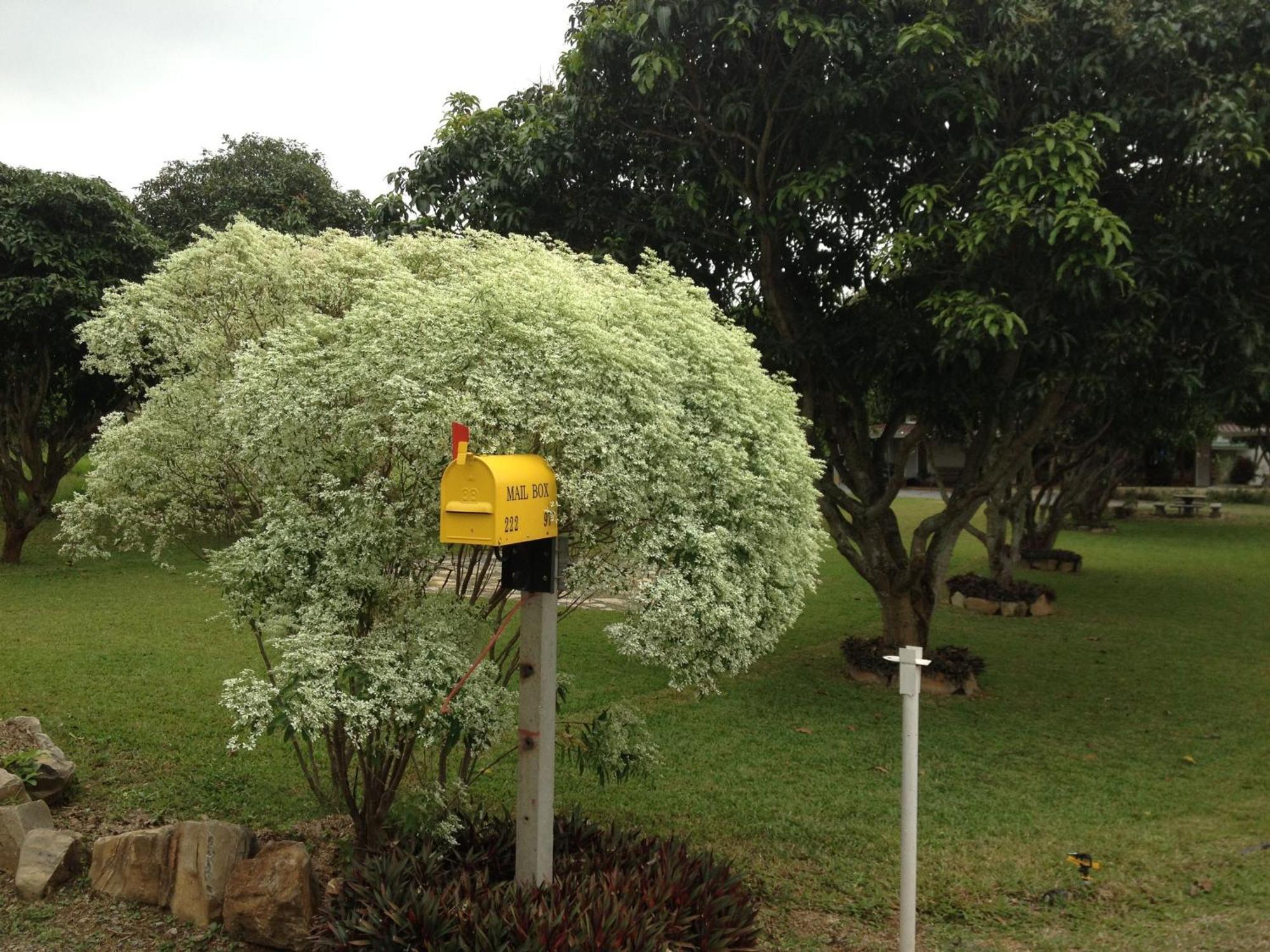 Jardin De Mangue Resort 2*