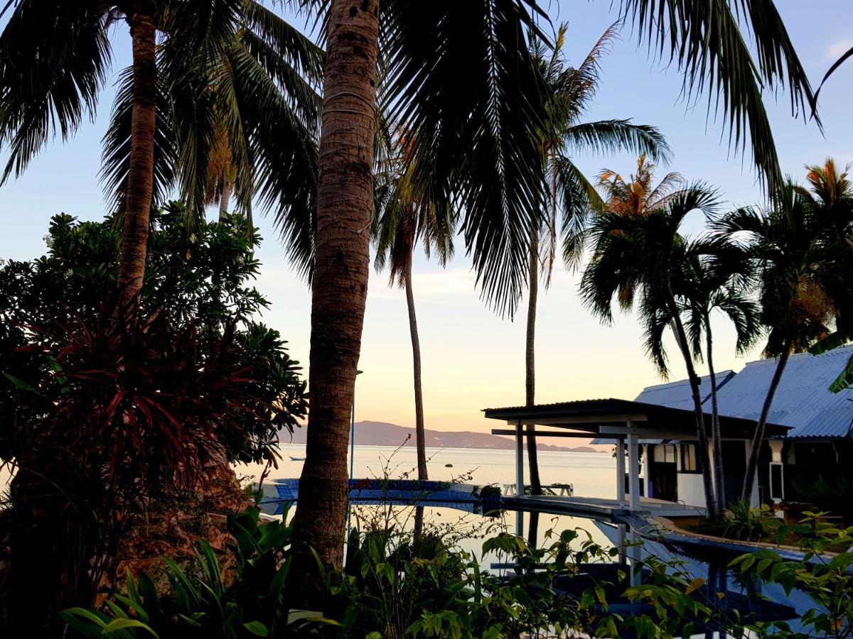 Guest house Islandlife