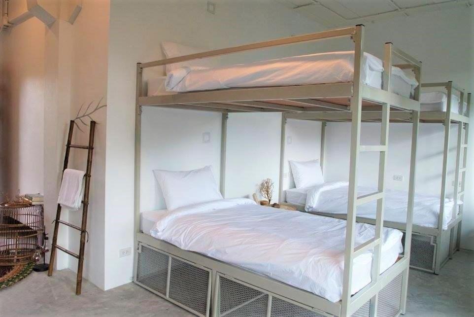 The Dearly Hostel-padi 5 Star Dive