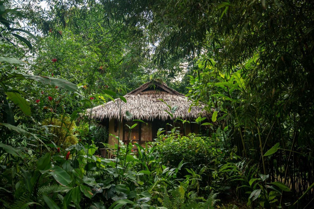 Our Jungle Camp - Eco Resort Phanom