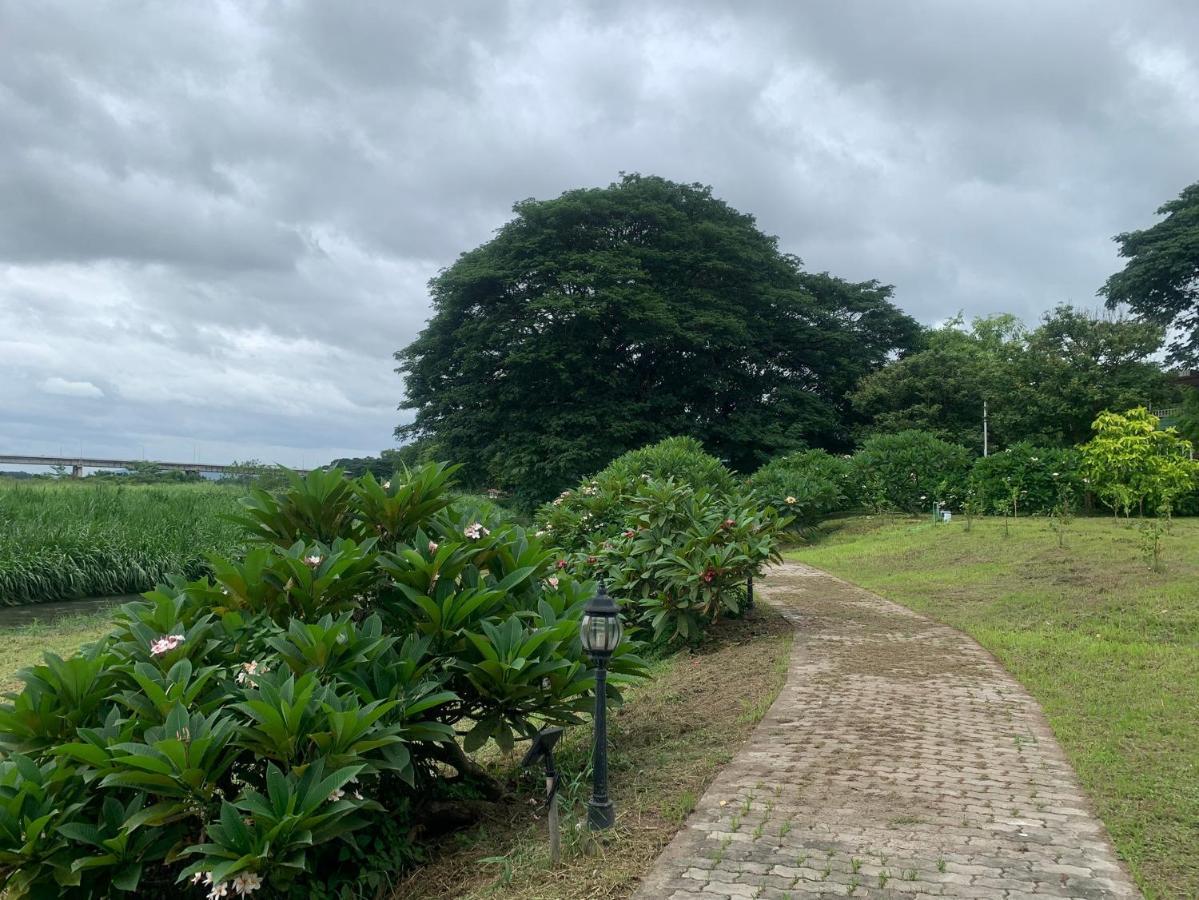 Pingview