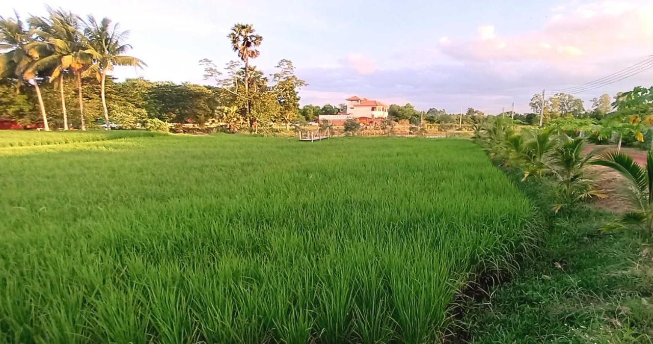 Bua Daeng