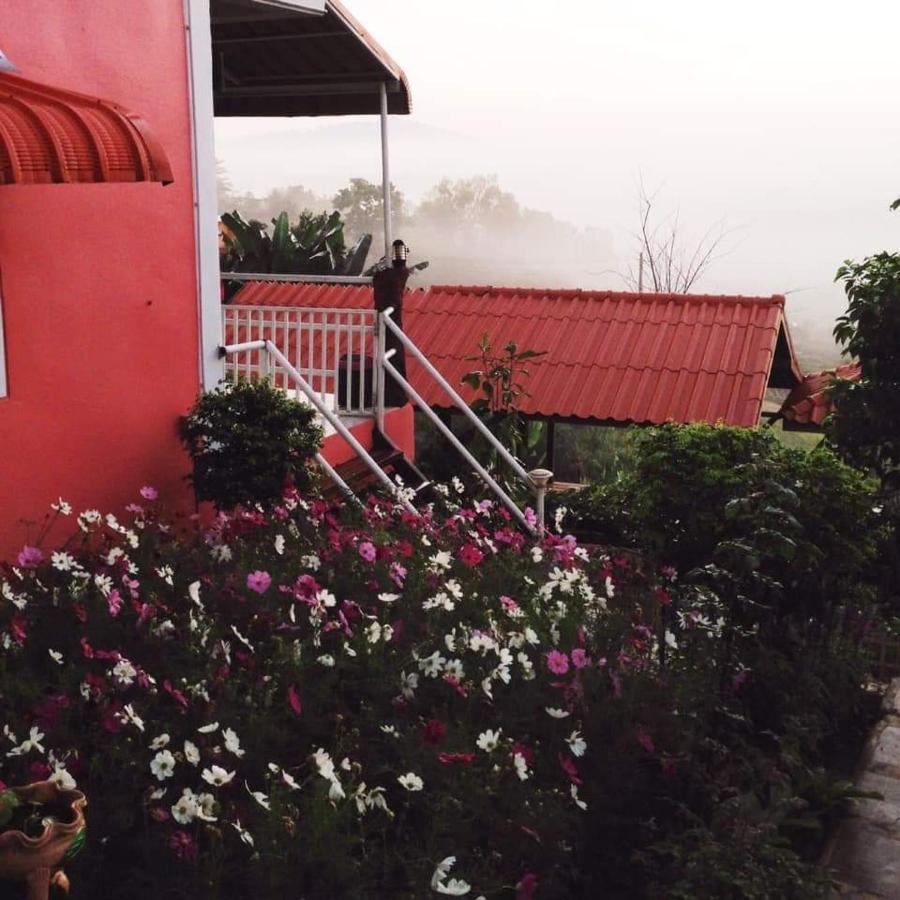 Guest house Bann Mai Sai Mhog Khao Kho
