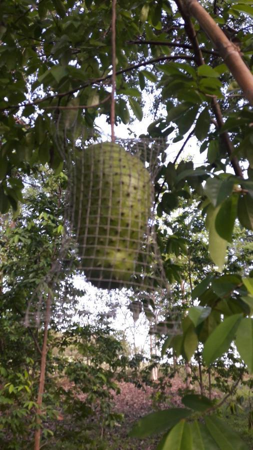 Holiday park Thai-bamboo Cha-Am