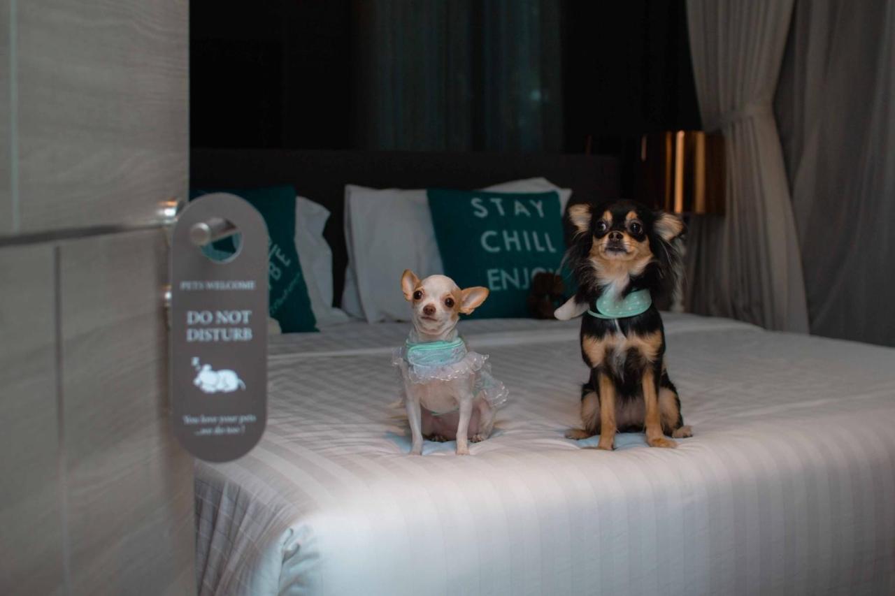 Cross Vibe Pattaya Seaphere - Formerly X2 Vibe Pattaya Seaphere Hotel Na Chom Thian