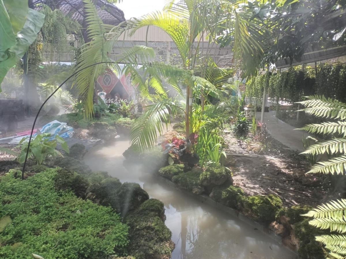 P.paradise Kamphaeng Phet