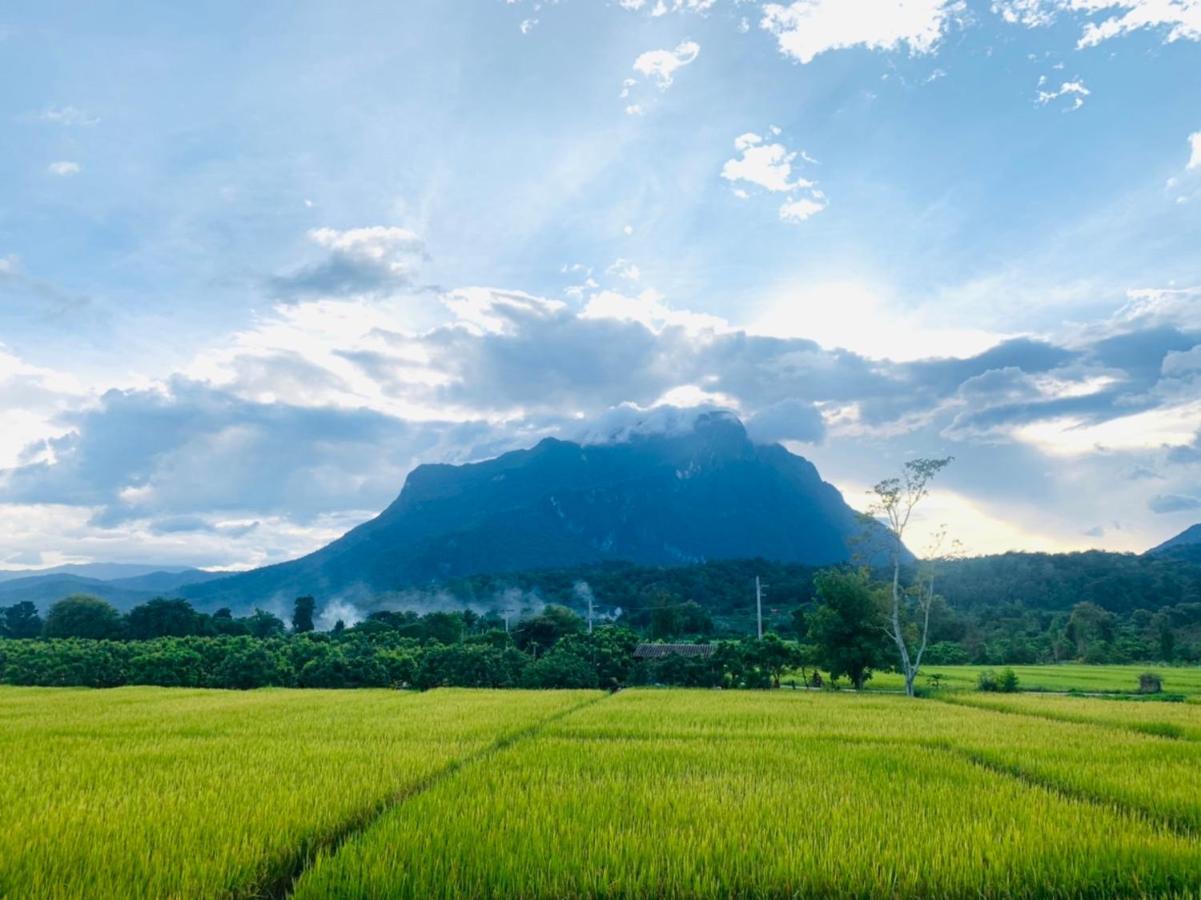 Krathom Doi Luang