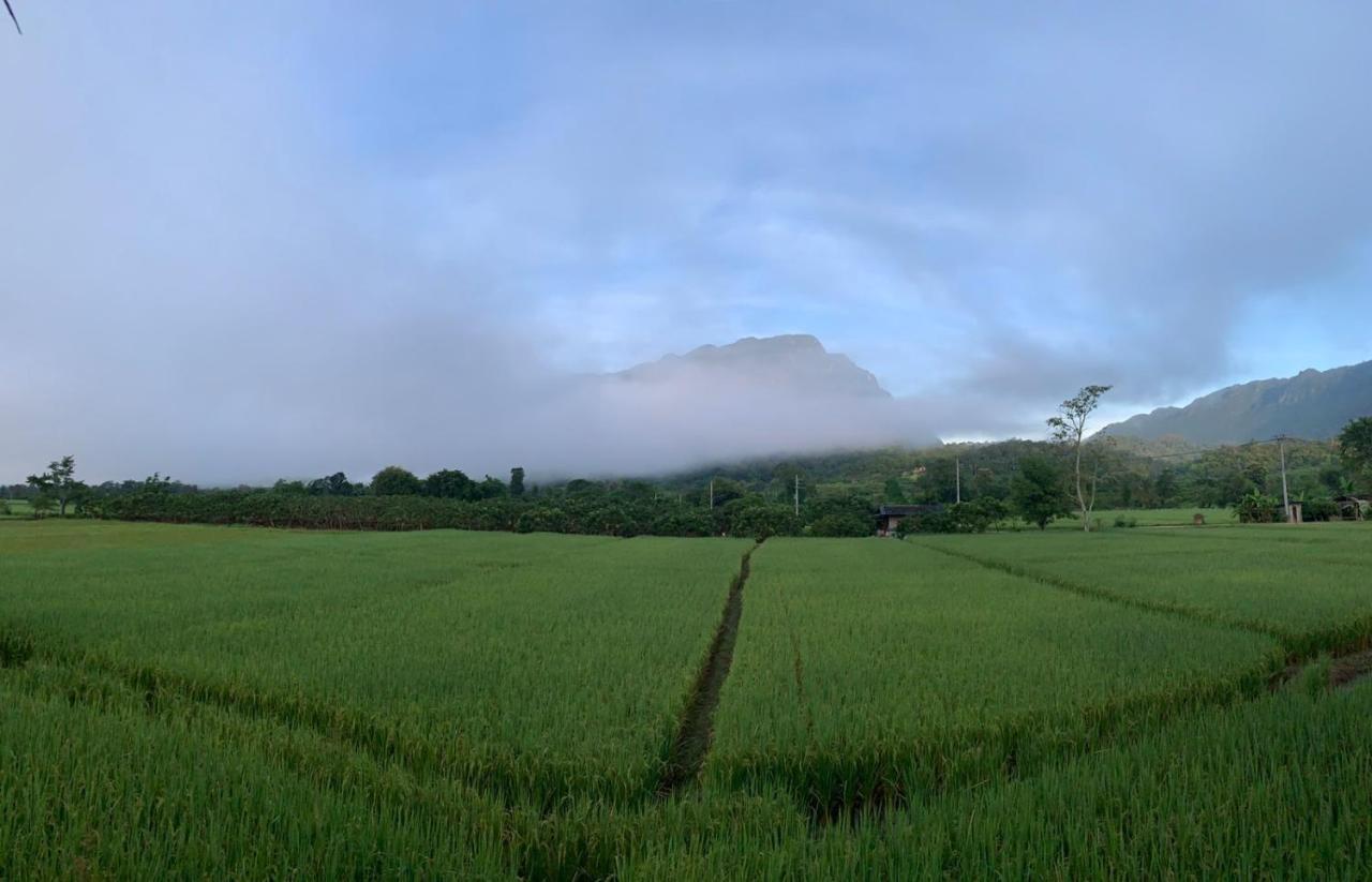 Krathom Doi Luang Resort