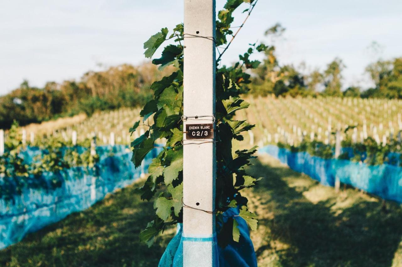 Issara Boutique Winery 4*