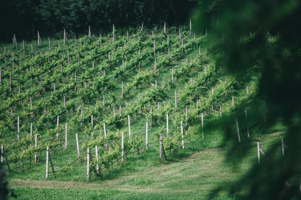 Hotel Issara Boutique Winery