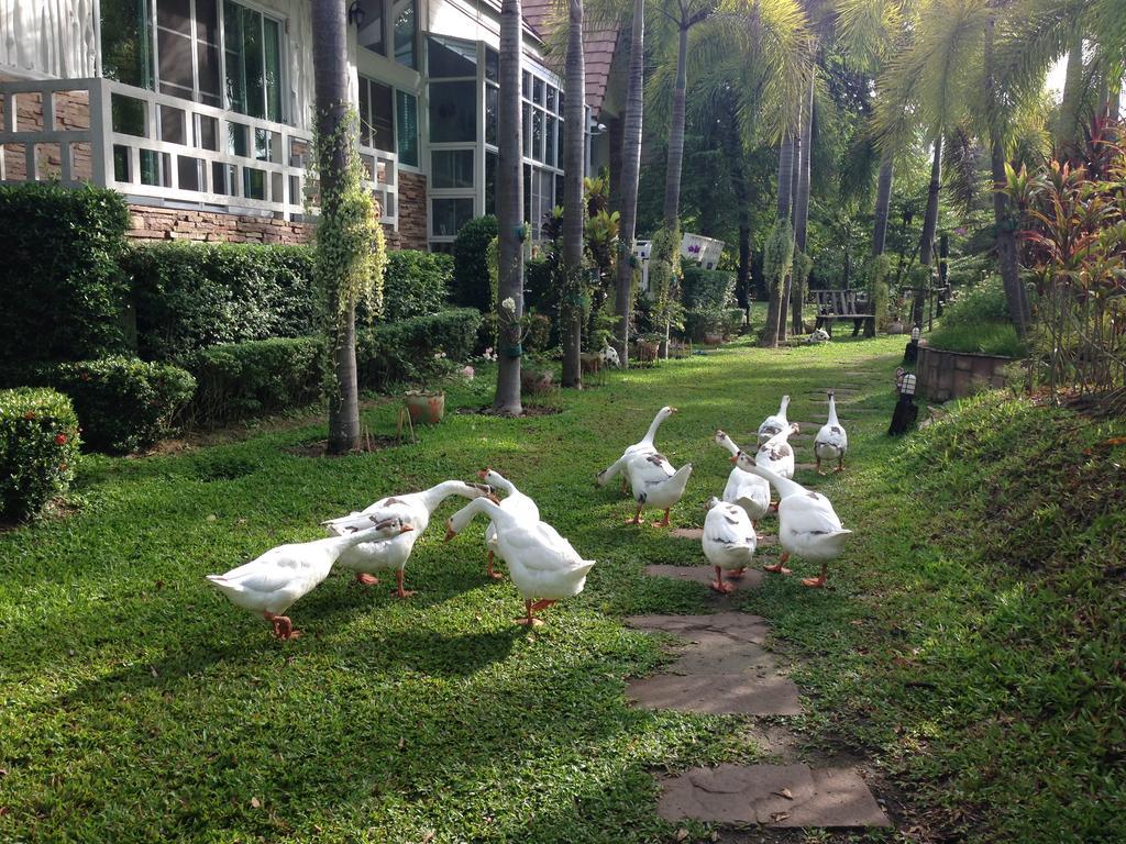 Watermill Resort Nong Nam Daeng