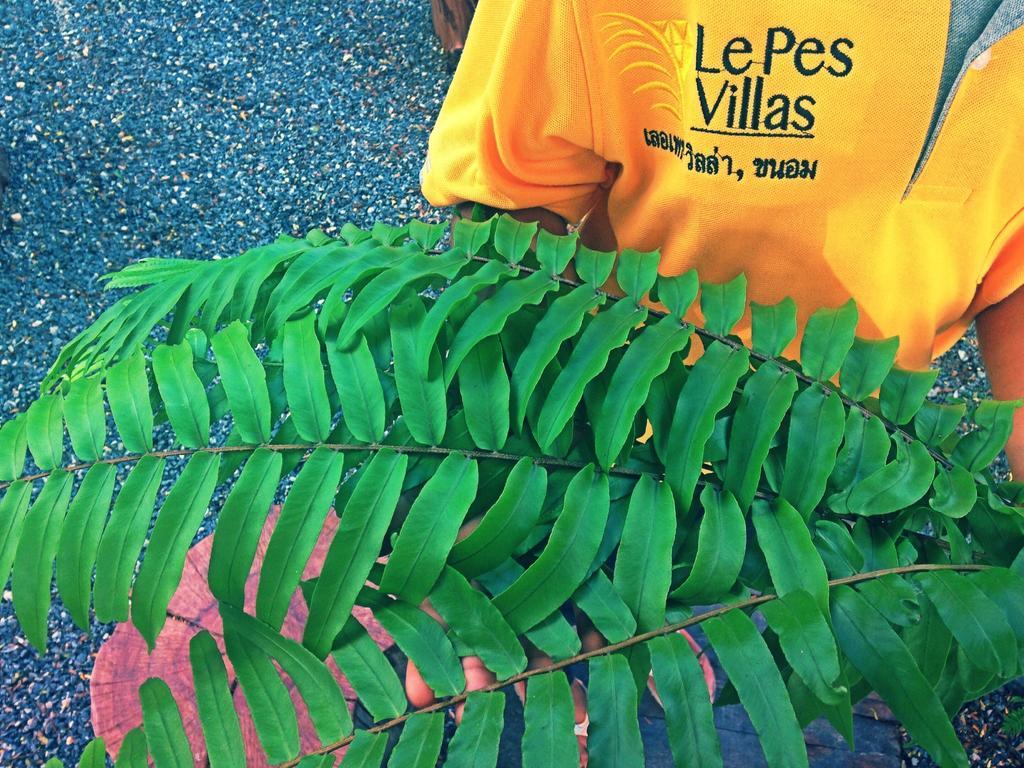 Le Pes