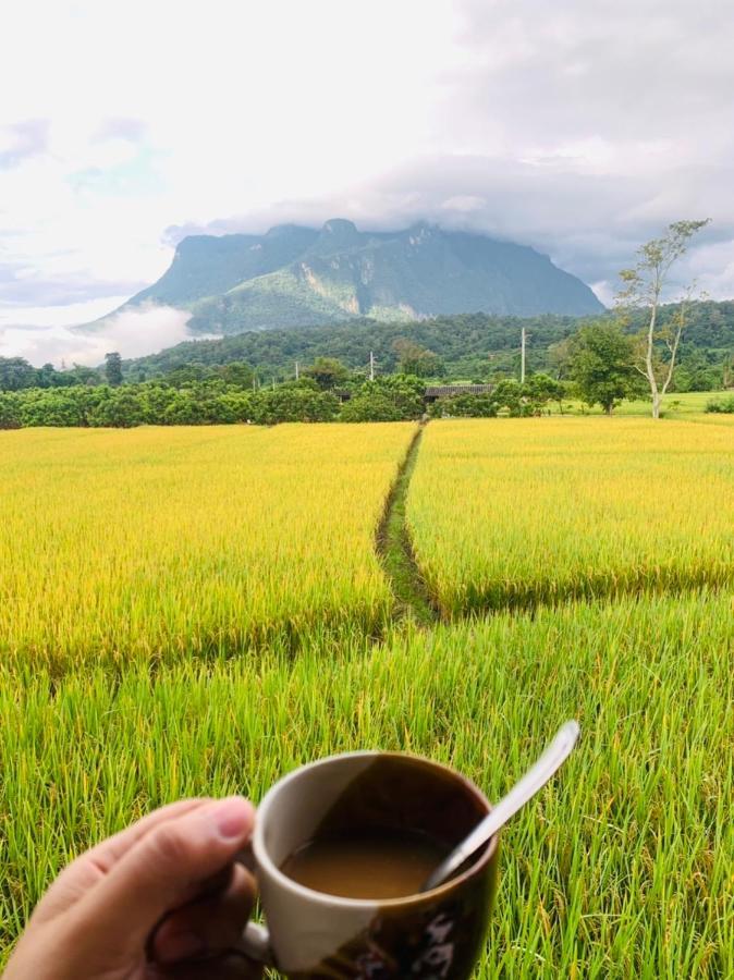 Krathom Doi Luang Chiang Dao