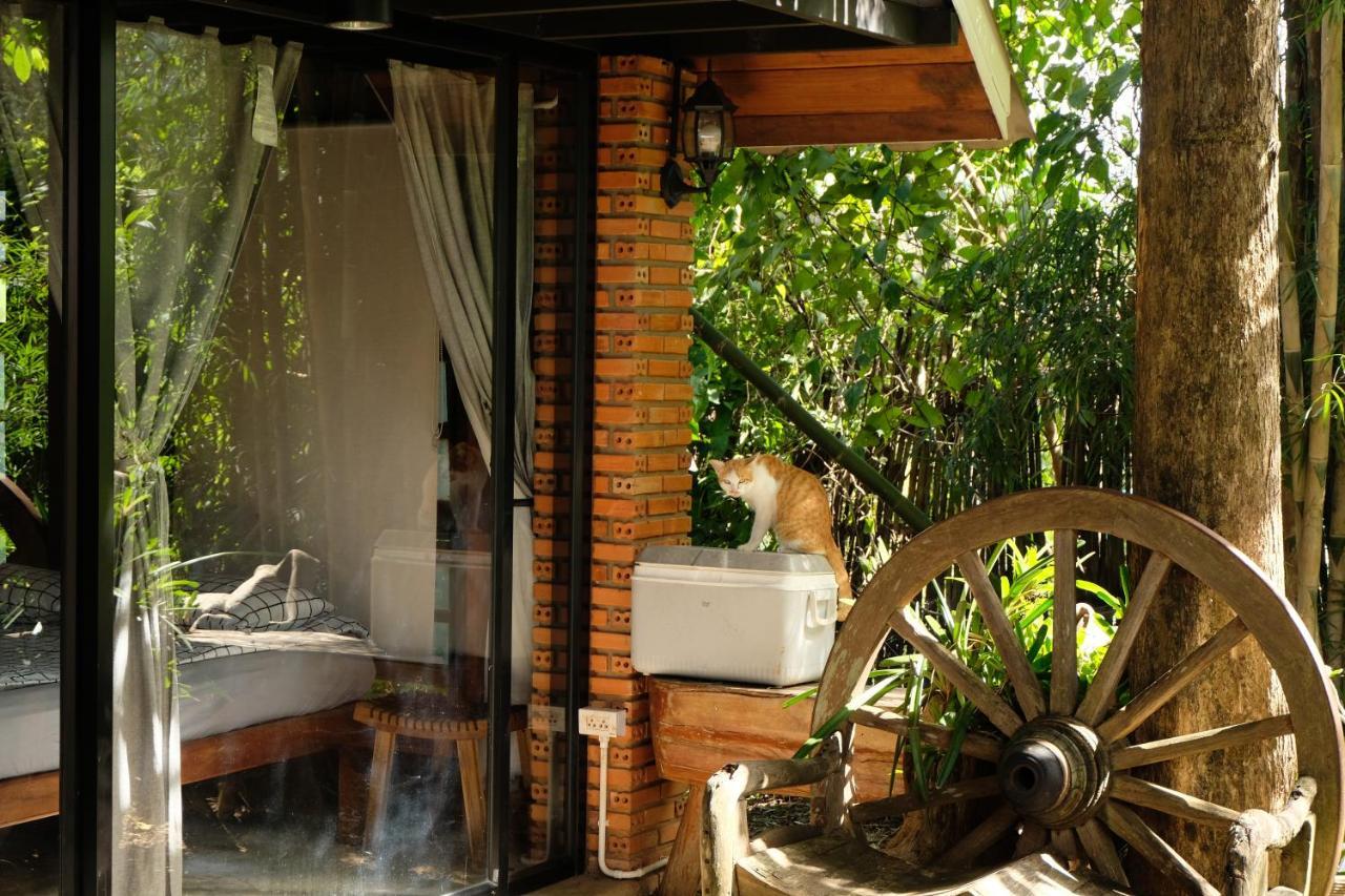 Guest house Ashi Chiangdao *
