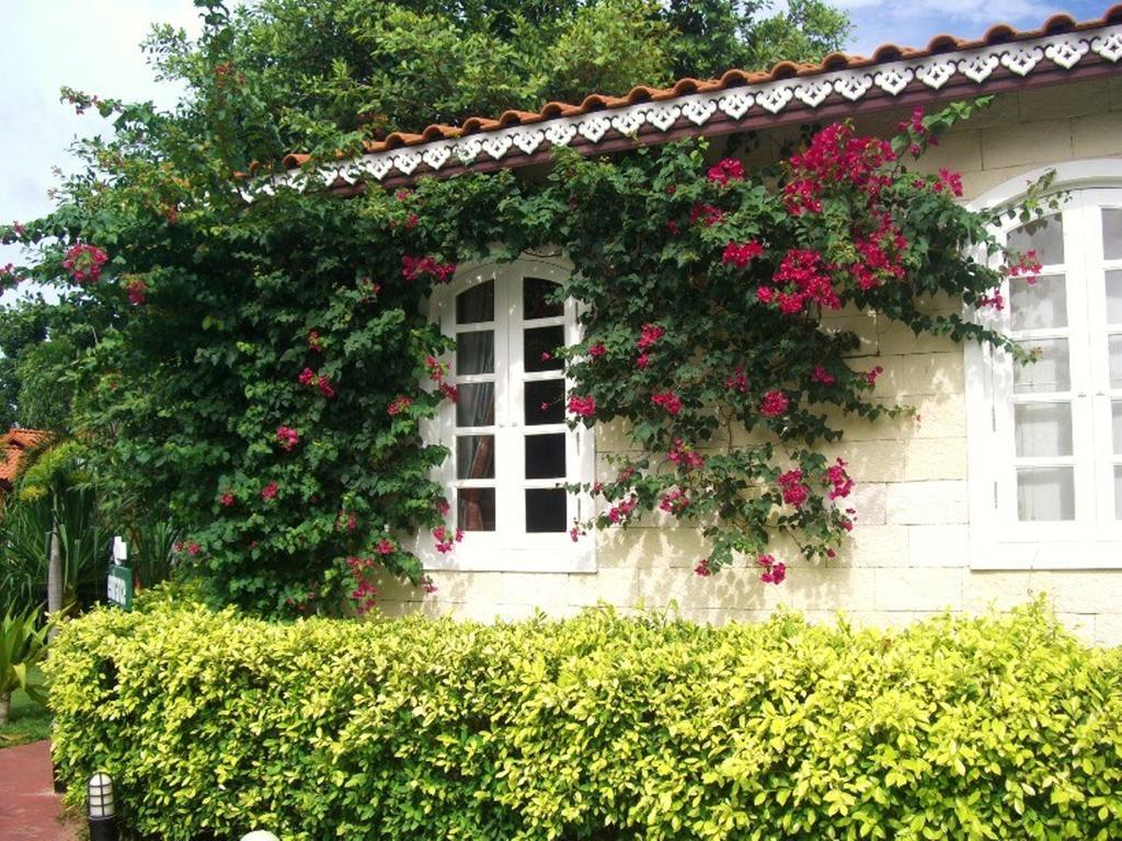 Pictory Garden Resort