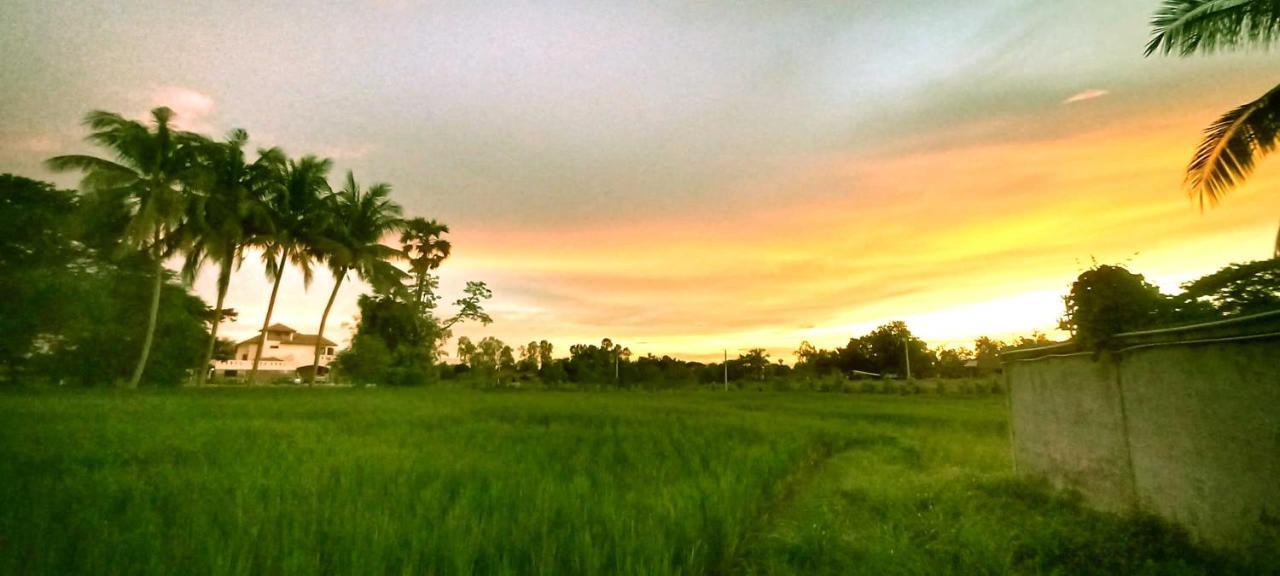 Bua Daeng *