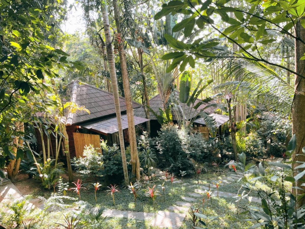 Resort High Life