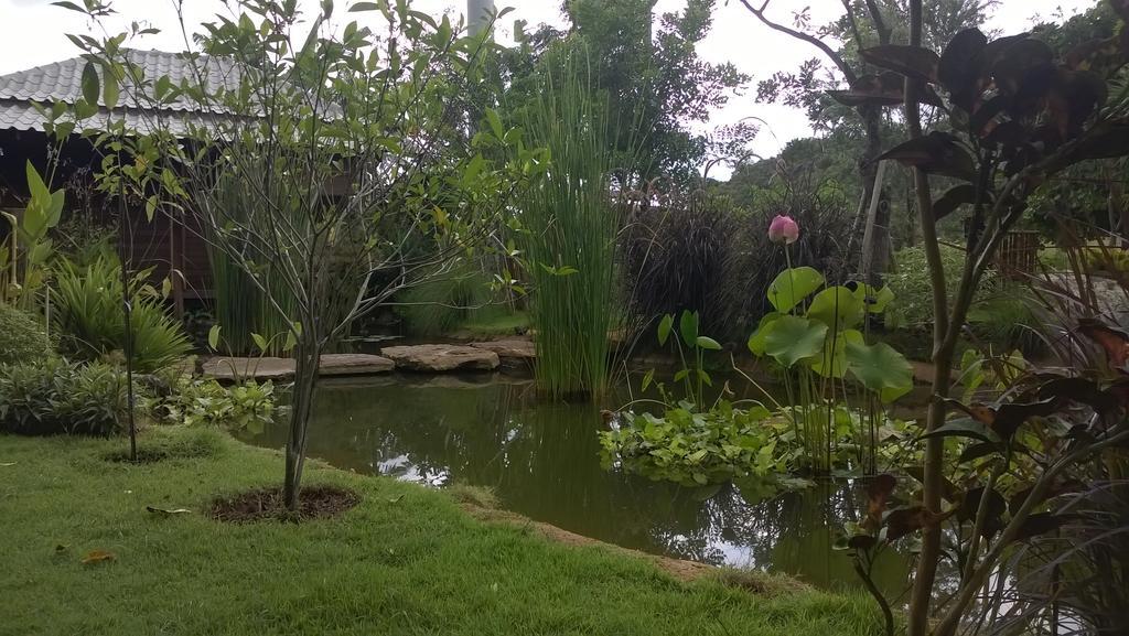 The Frog Khao Yai Resort