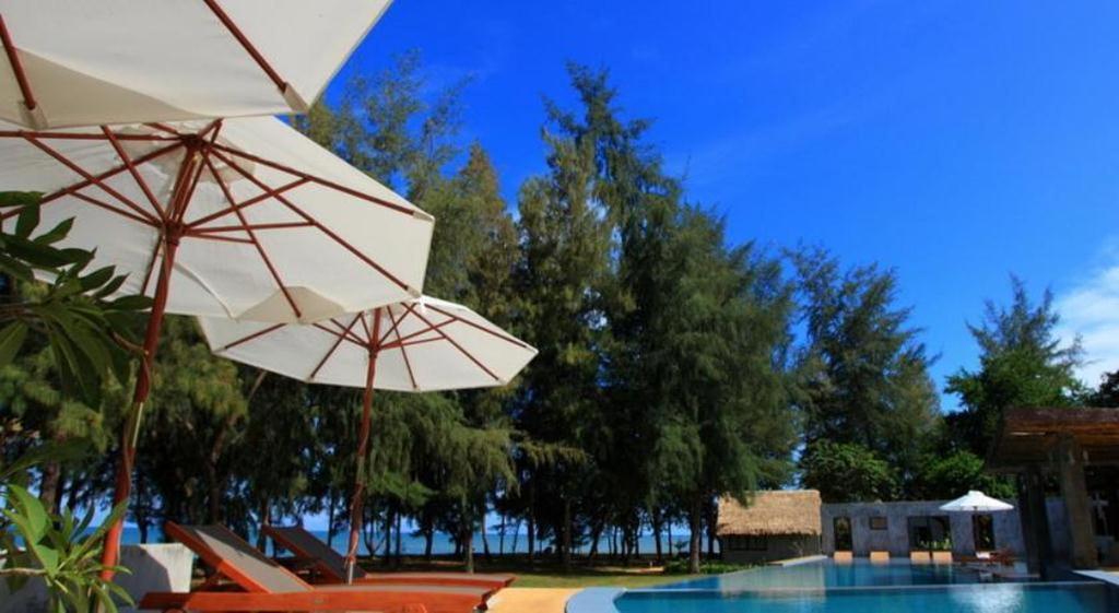 Casuarina 4*