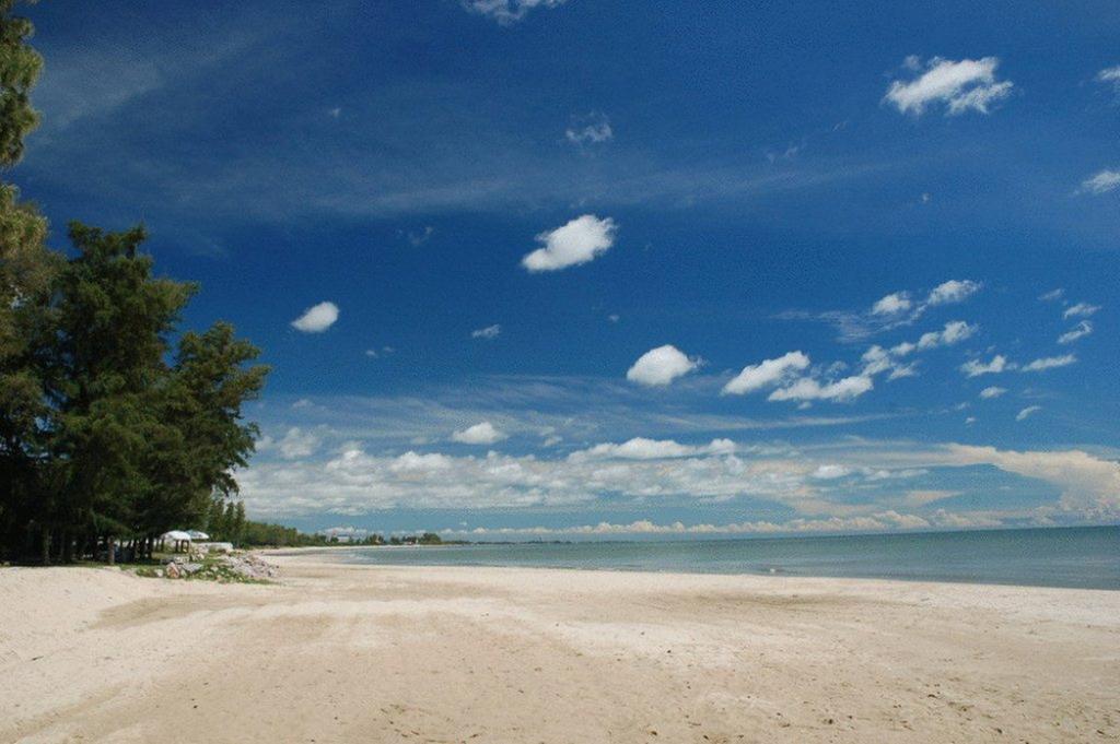 Casuarina Cha-Am