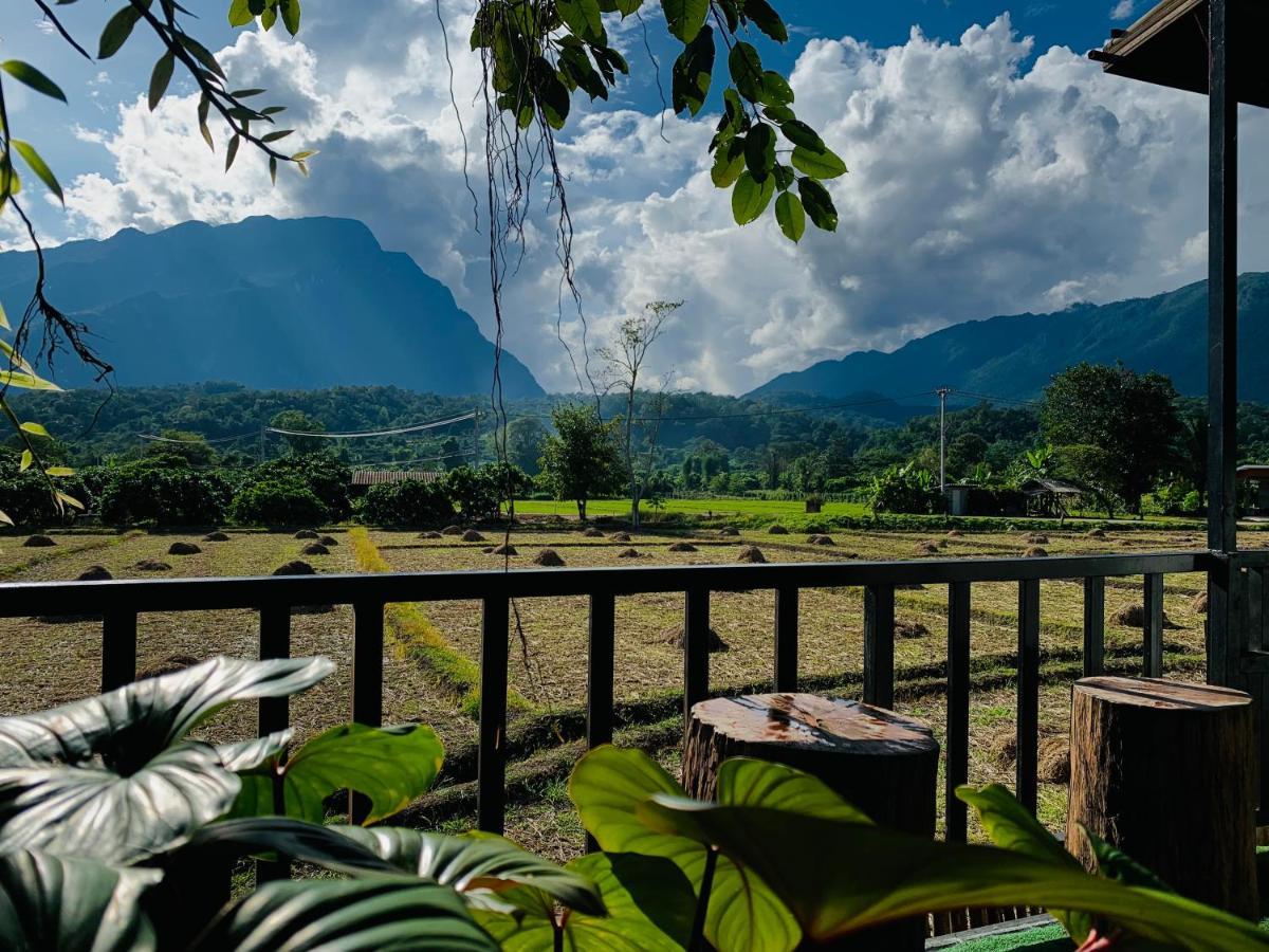 Krathom Doi Luang * Chiang Dao