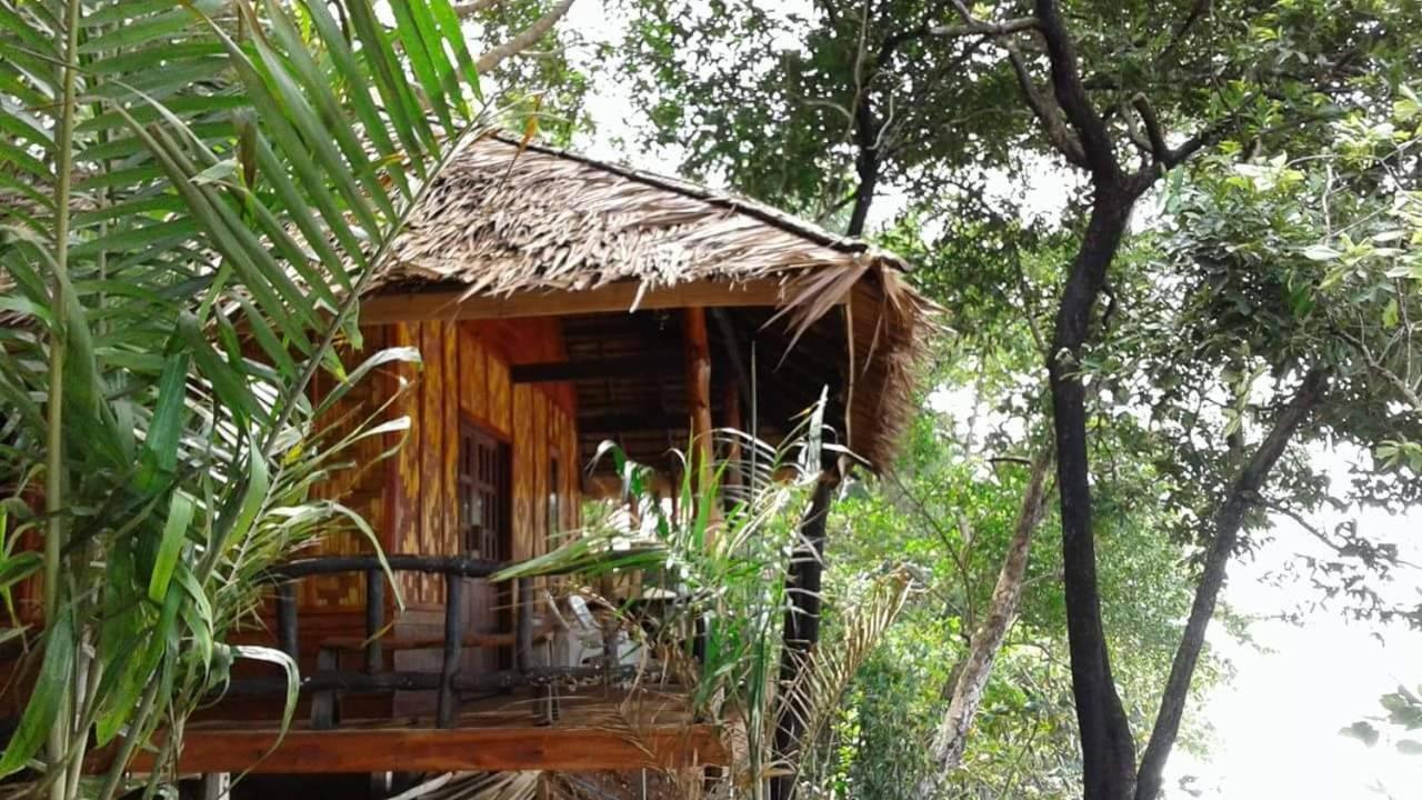 Jungle Hill