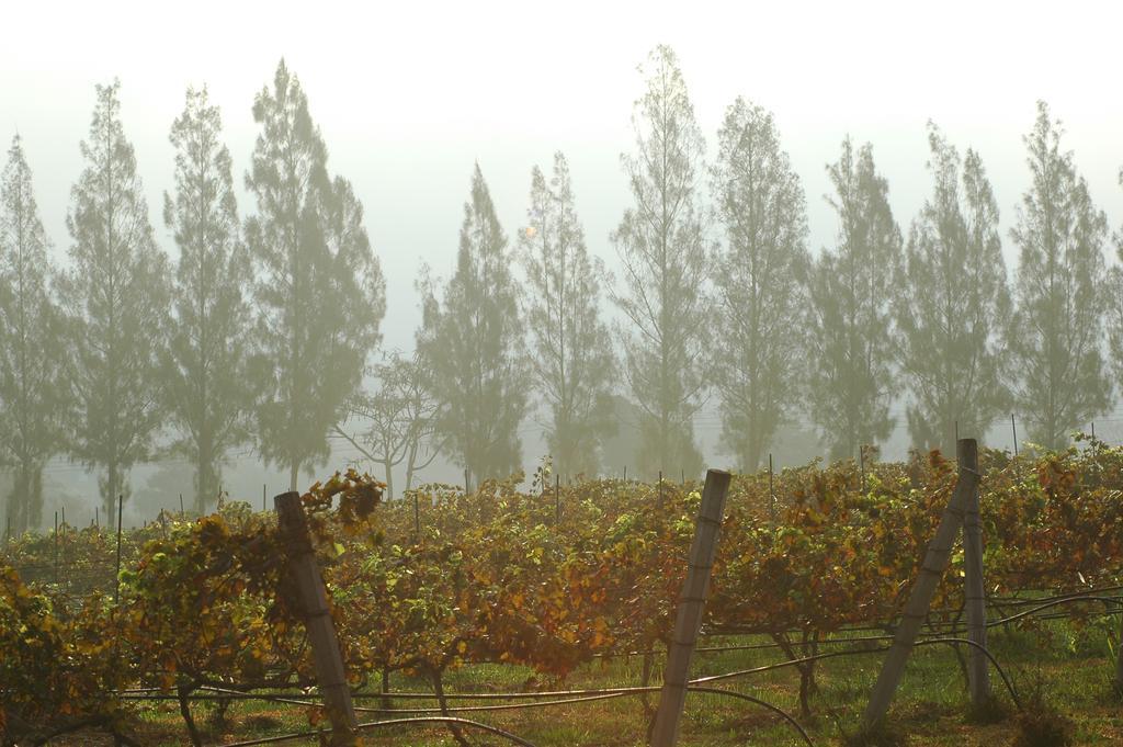 Village Farm And Winery