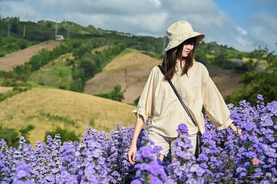 Homestay มีจันทร์เขาค้อ