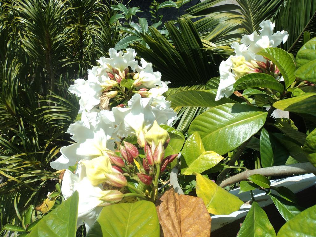 Pratum Resort Khao Lak