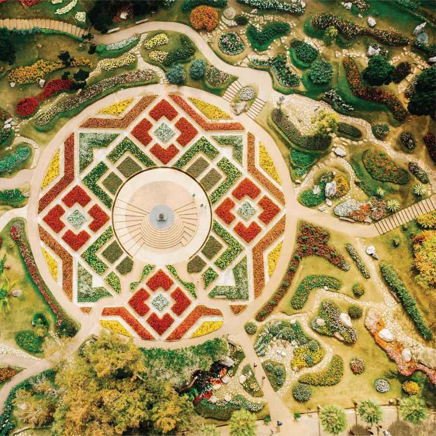 Doitung Ban Rai (Chiang Rai)
