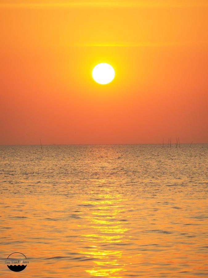 Sea Trees 2*