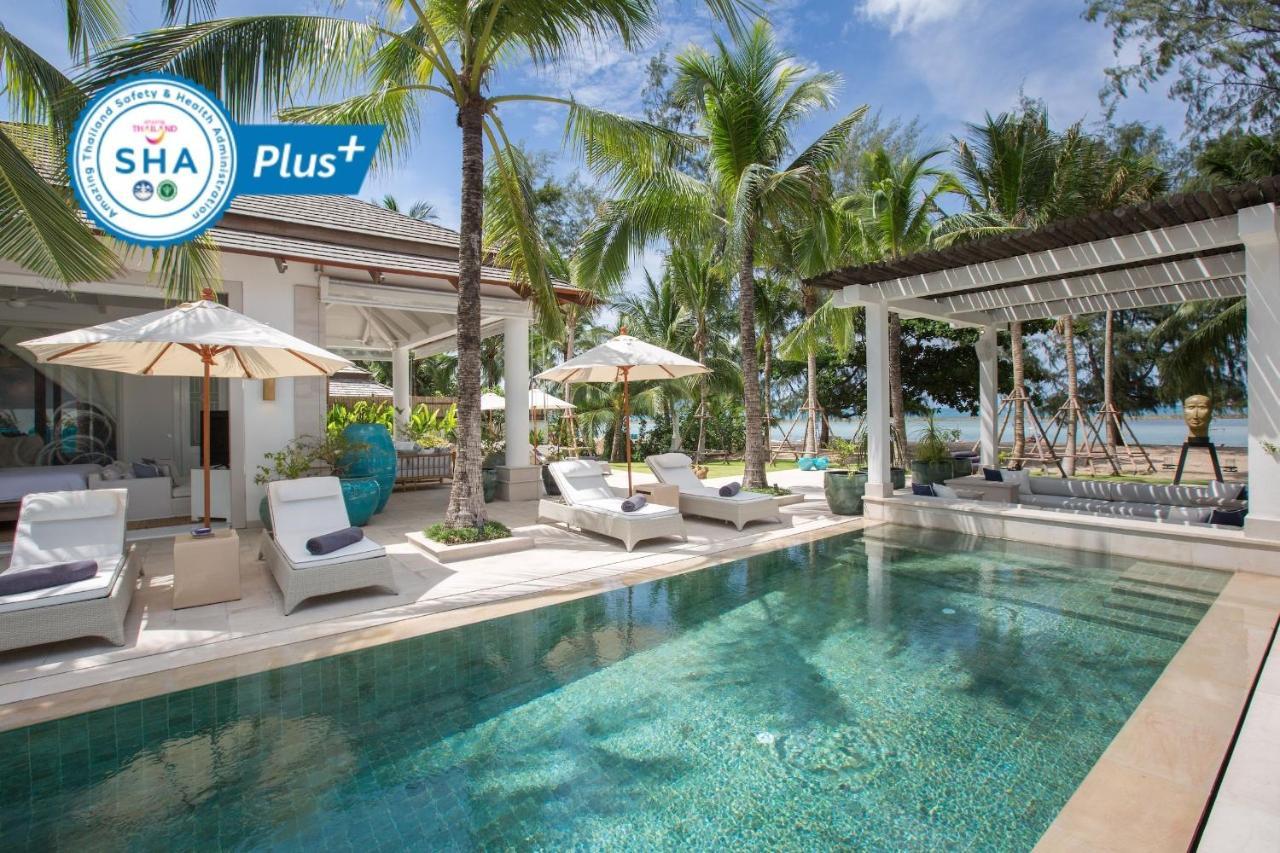 Mia Palm, And Events