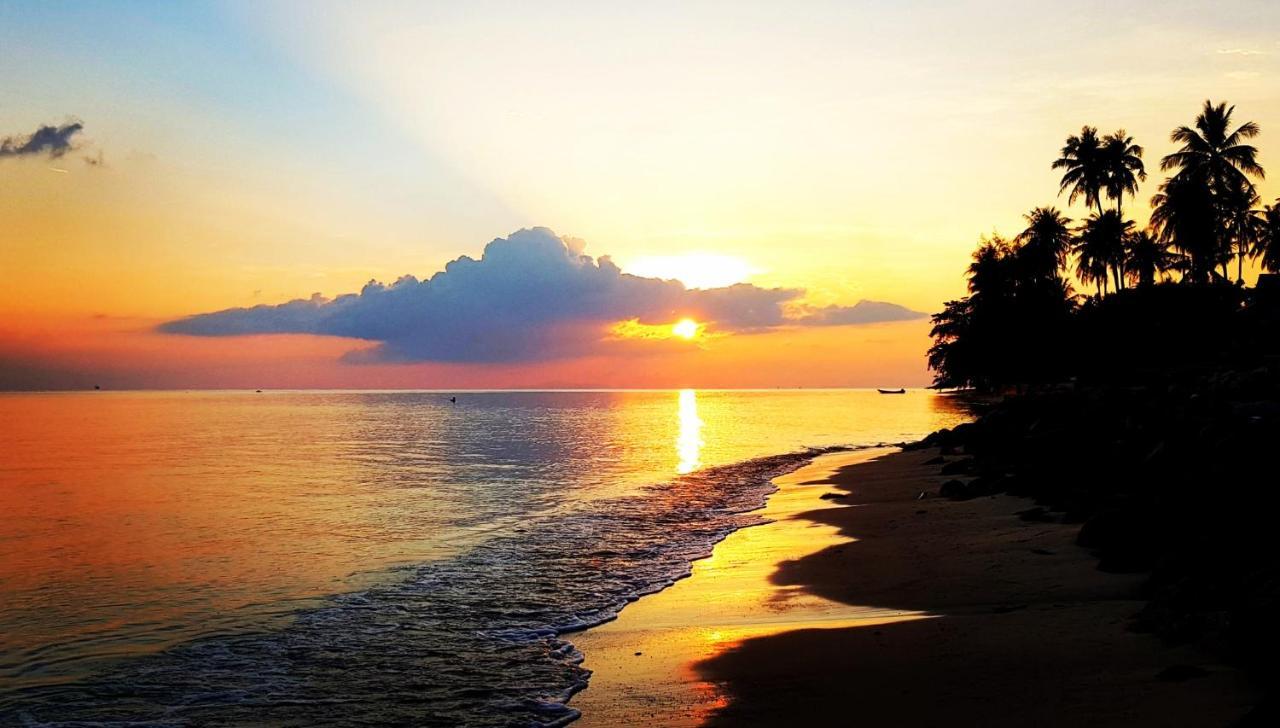 Islandlife Guest house *
