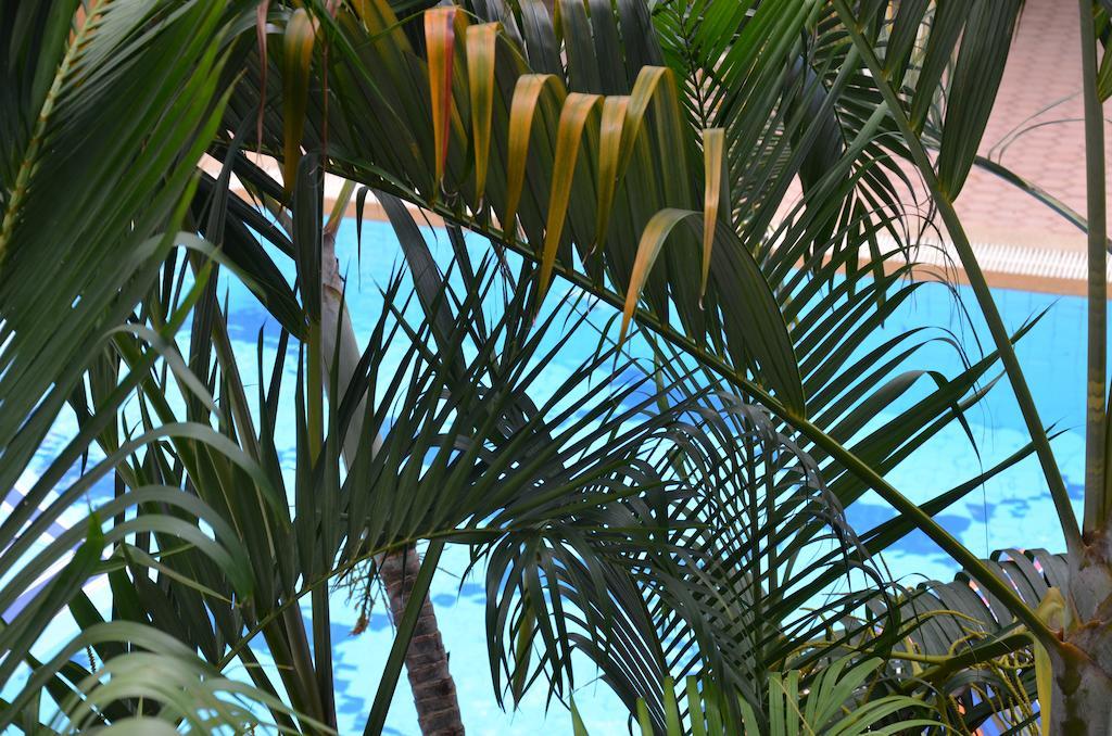 Garden Resort 3*