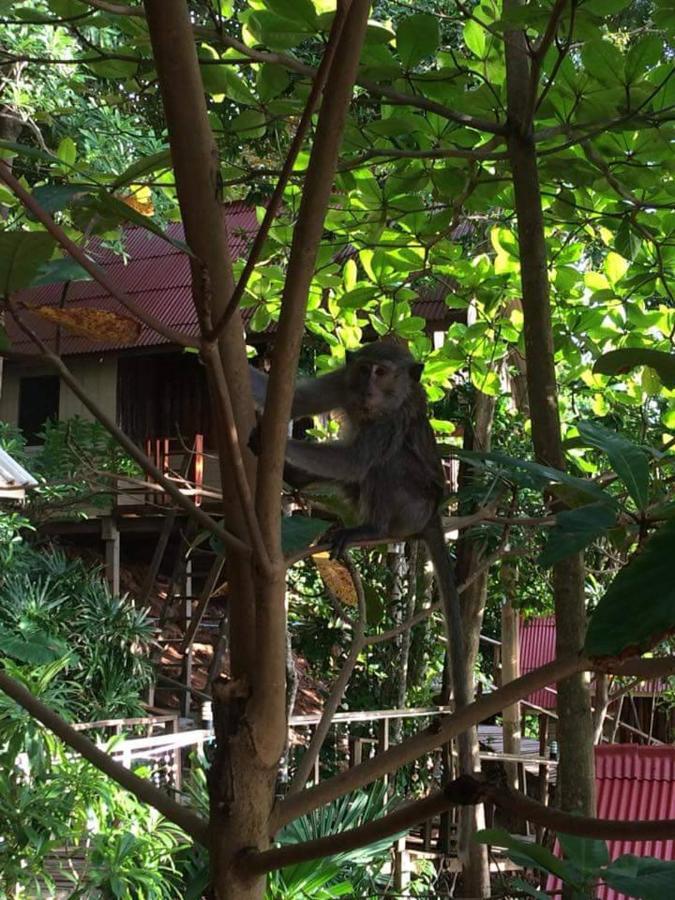 Jungle Hill Guest house 3*