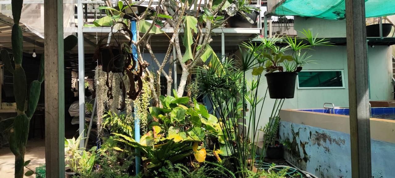 Baan Asree บ้านอัสรี