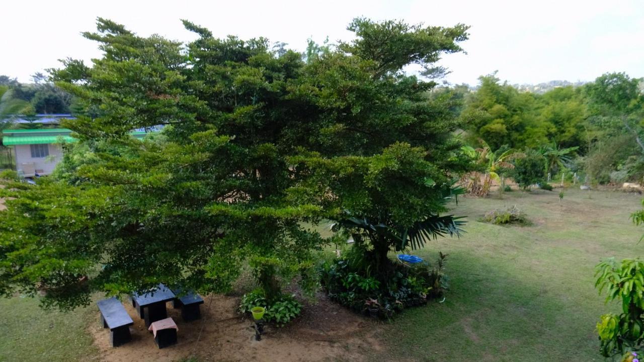 มีจันทร์เขาค้อ Homestay *