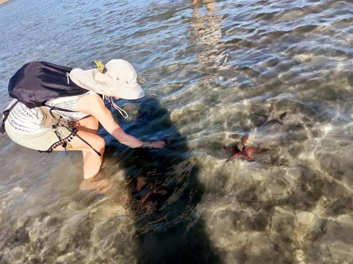 Resort Activities *