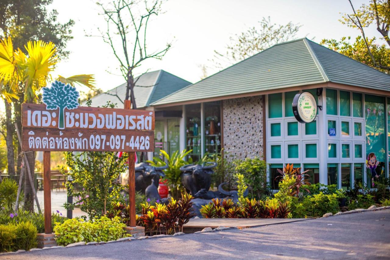 The Chamuang Forest * Nakhon Nayok