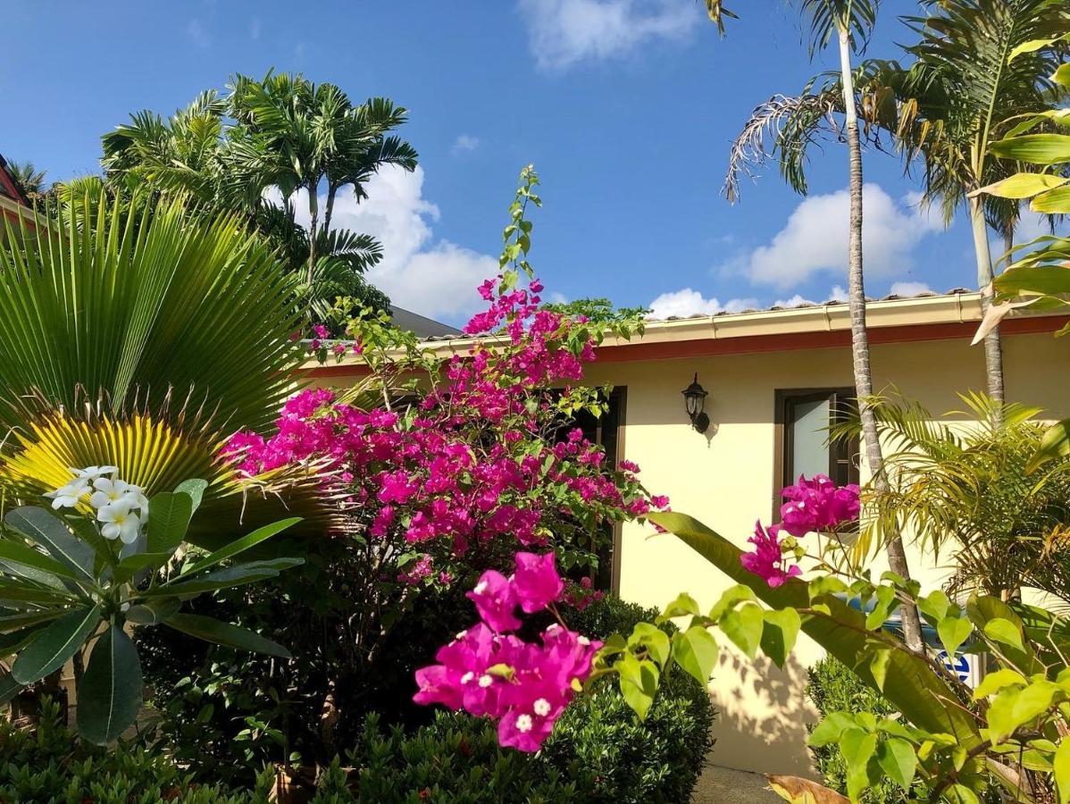 Angelot Guest house