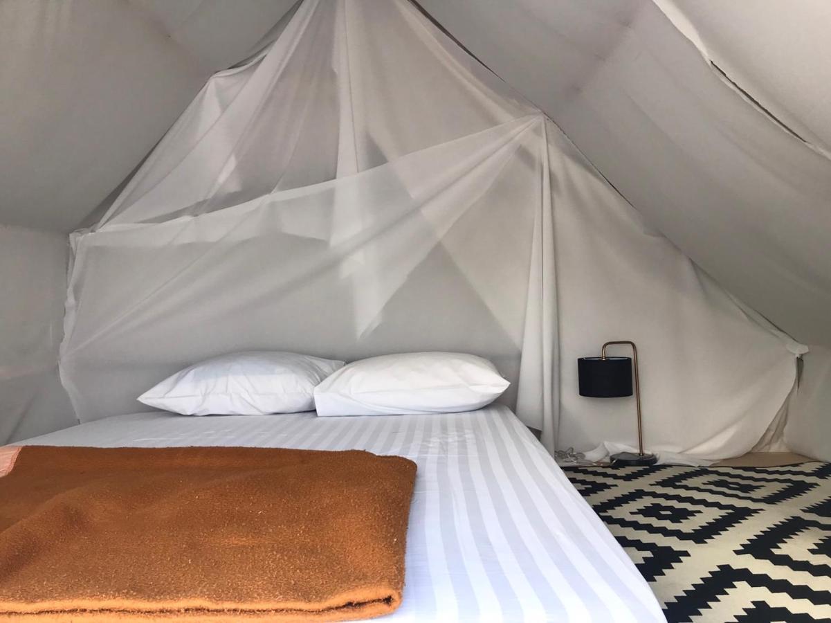 Terre Terrace Glamping - Doichang Bed & Breakfast