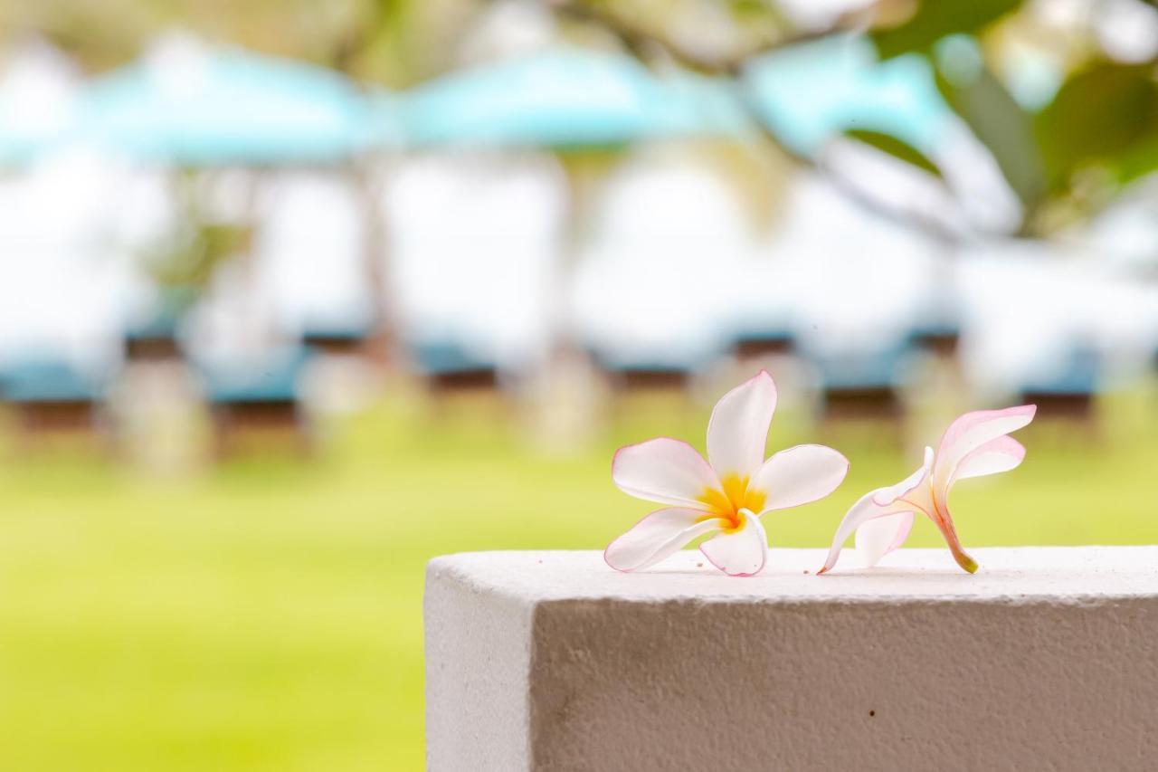 Pinnacle Grand Jomtien And Club