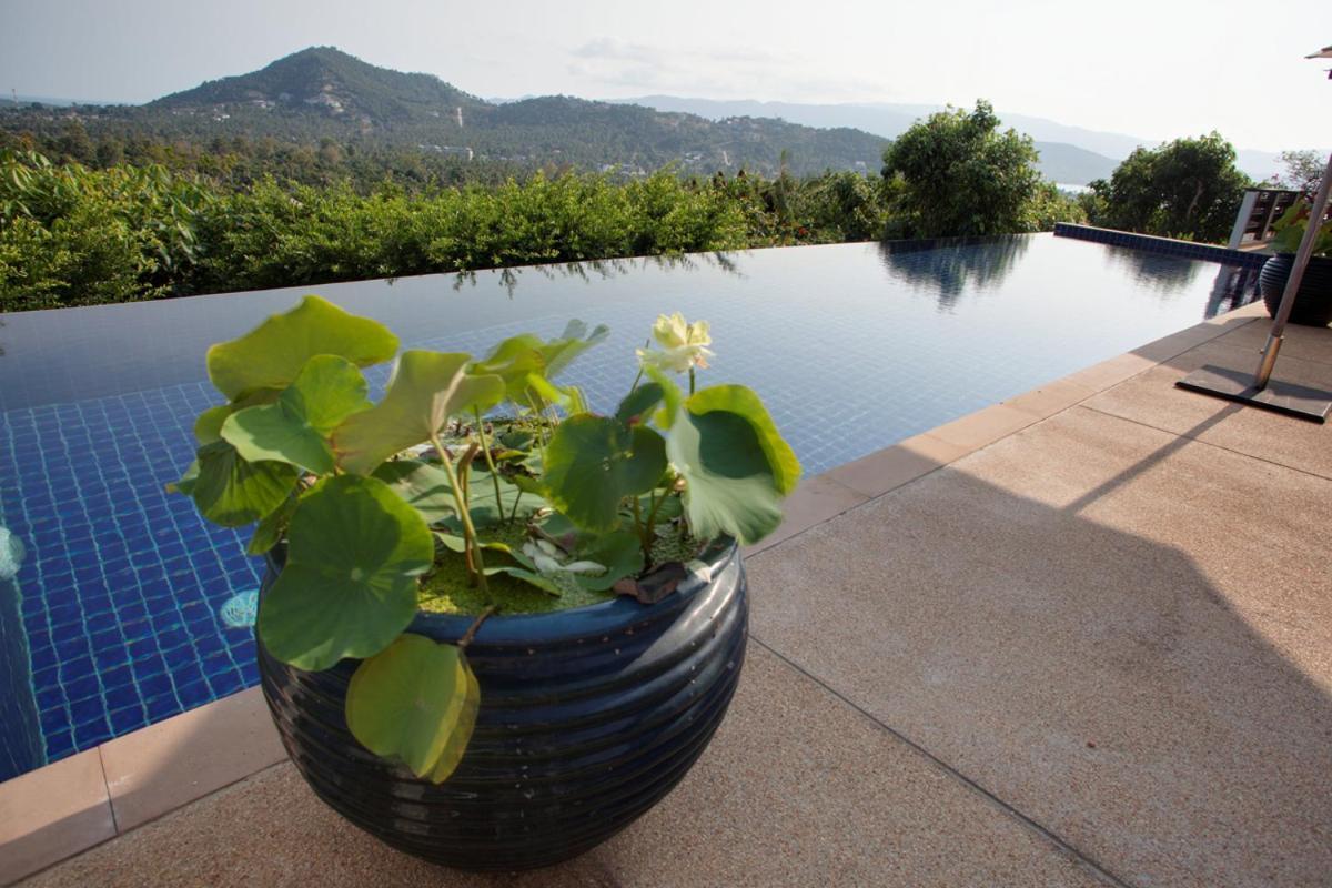 Pousada Alpha - Seaview Private *