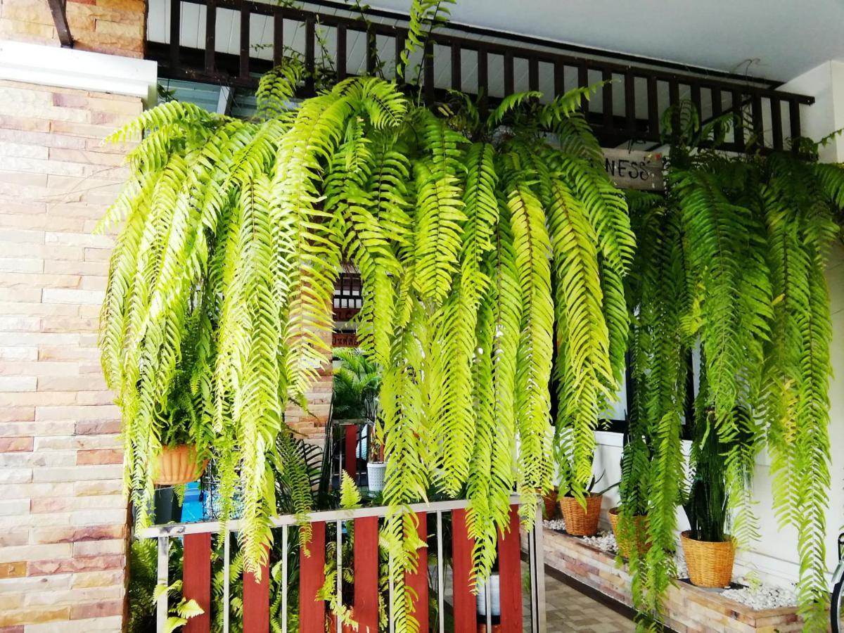 Wilderness Bed & Breakfast Ban Chang (Rayong)