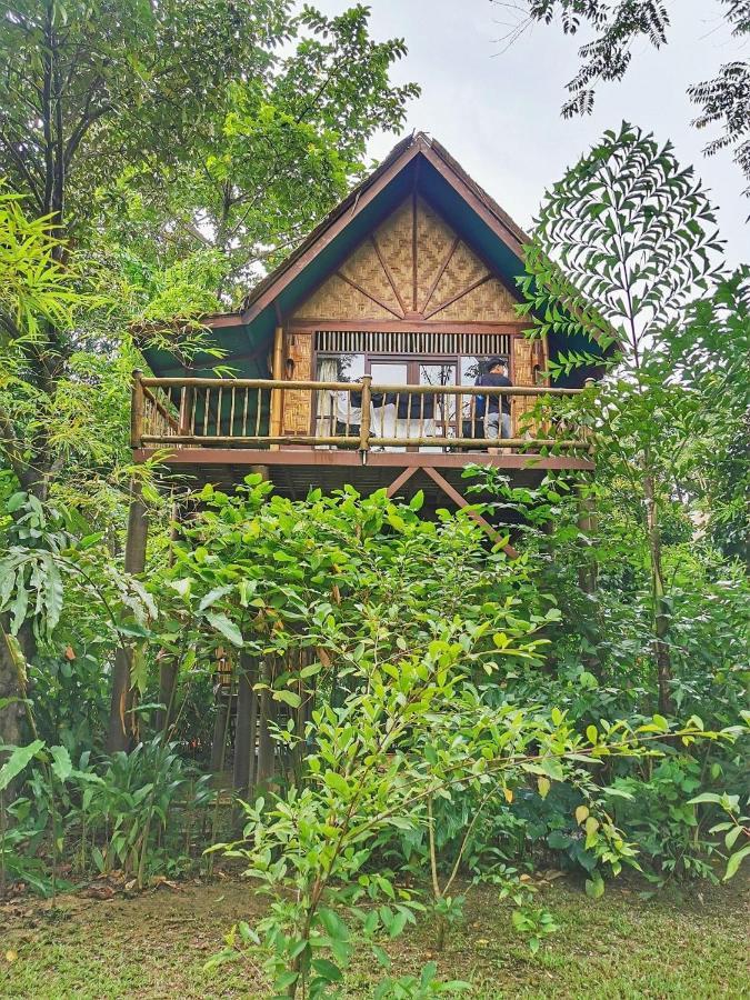 Our Jungle Camp - Eco Phanom