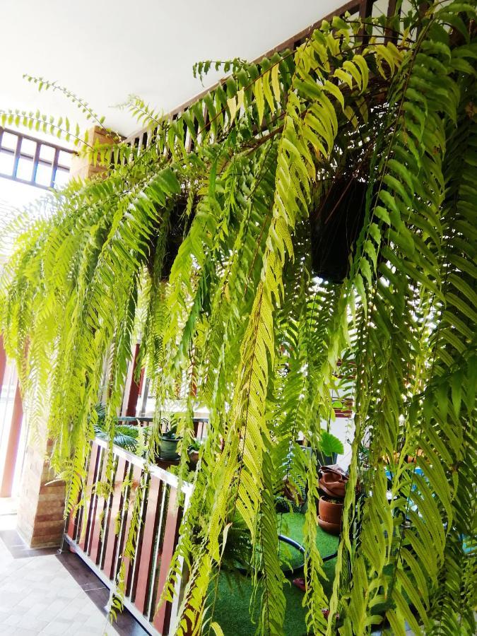 Bed & Breakfast Wilderness Ban Chang (Rayong)