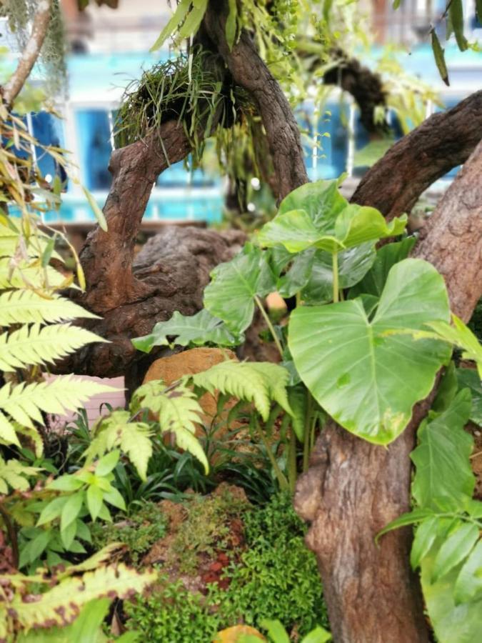 Resort Uthaithani *